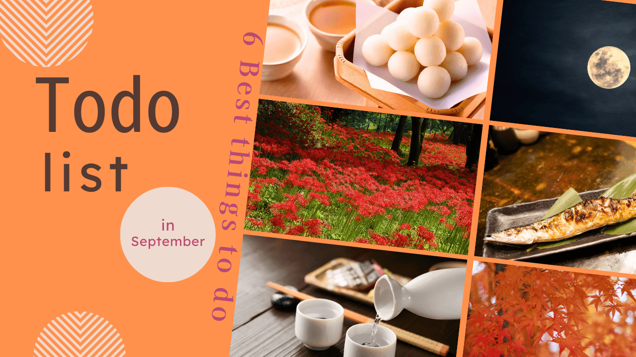 9月の日本でやるべきこと6選｜月見・秋祭り・彼岸花・初秋ハイキング・旬の味・大相撲