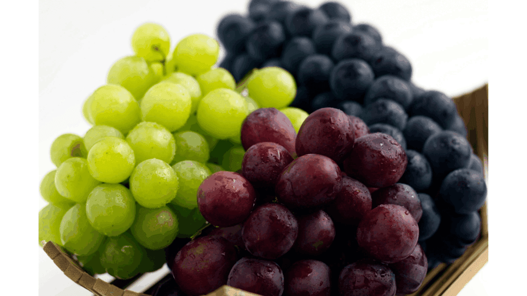 Grapes (Shine Muscat / Kyoho)