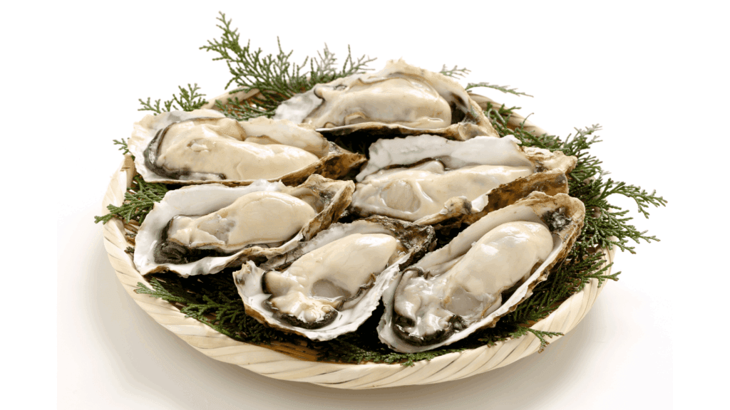 Oysters (raw / grilled / fried) season varies by region