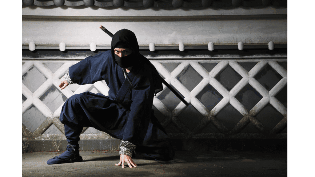 ninja (persons in feudal Japan who used ninja weapons, assassins, etc.)