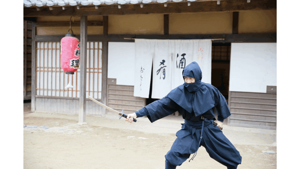 ninja (persons in feudal Japan who used ninja weapons, assassins, etc.)