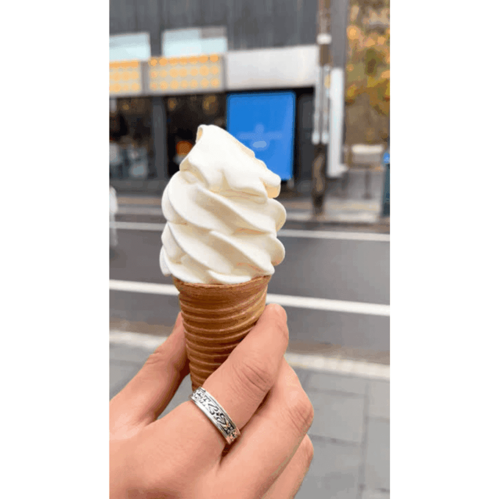 Otaru Day Trip Guide