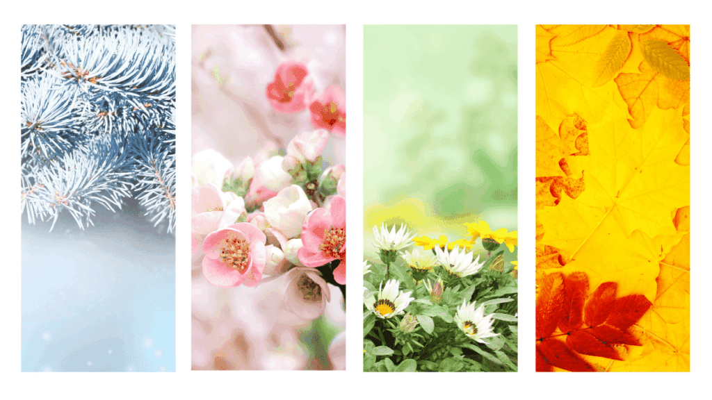 日本季節別服装ガイド