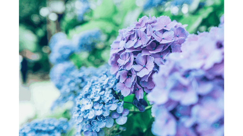 日本季節別服装ガイド