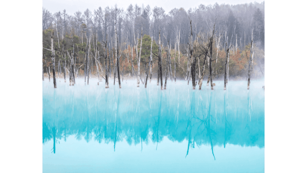 北海道を8つのエリアで完全攻略！初めてでも旅の全体像が一気にわかる保存版ガイド