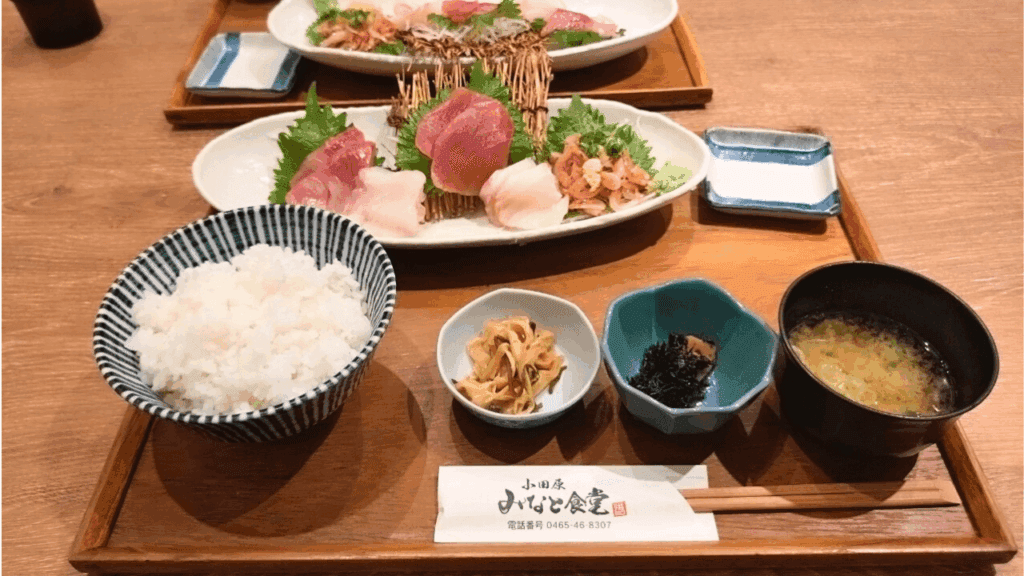 東京から日帰りでここまで楽しめる！小田原の城・海・食を巡る一日旅