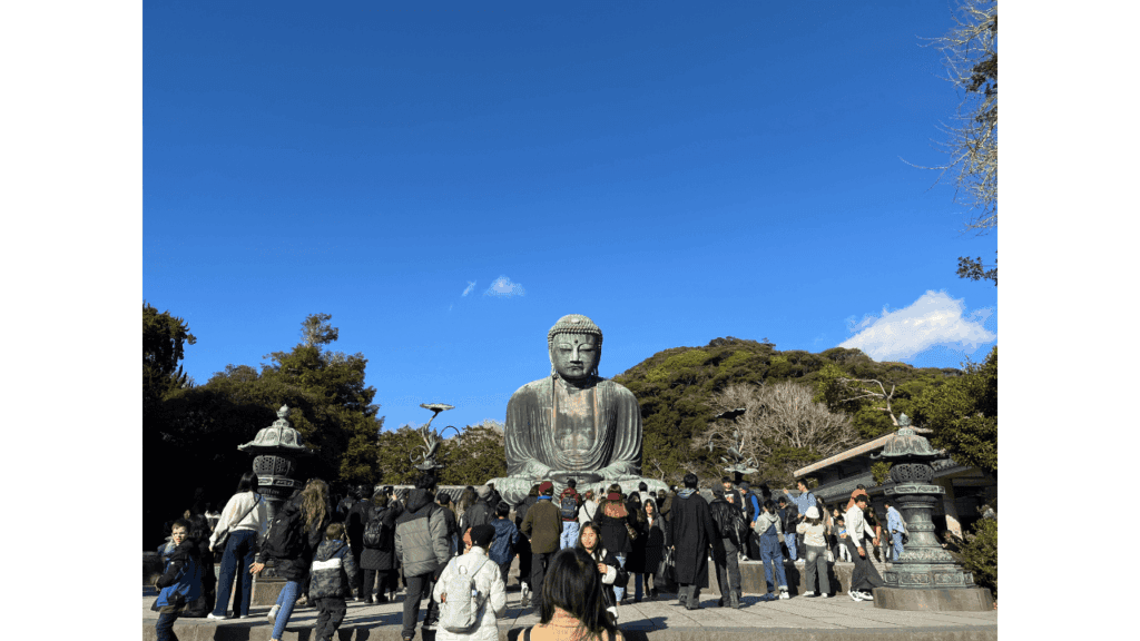 Enjoy Kamakura & Enoshima in a day! Eating & Drinking x Shrine x Sunset Model Course