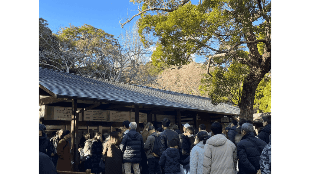 Enjoy Kamakura & Enoshima in a day! Eating & Drinking x Shrine x Sunset Model Course