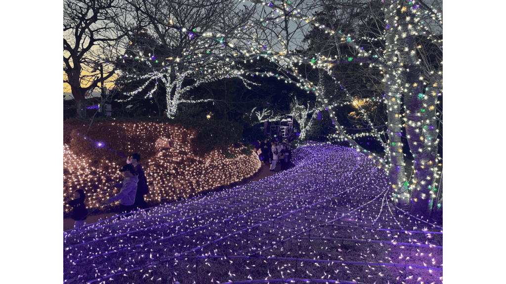 Enjoy Kamakura & Enoshima in a day! Eating & Drinking x Shrine x Sunset Model Course