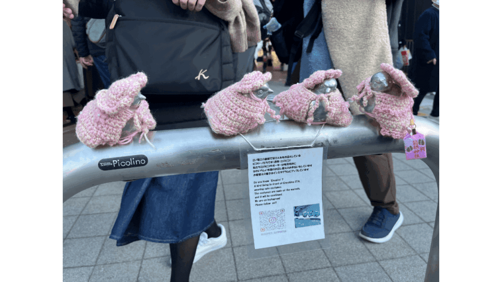 Enjoy Kamakura & Enoshima in a day! Eating & Drinking x Shrine x Sunset Model Course