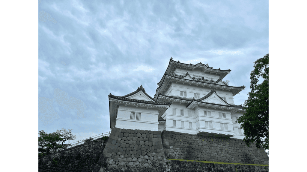 東京から日帰りでここまで楽しめる！小田原の城・海・食を巡る一日旅