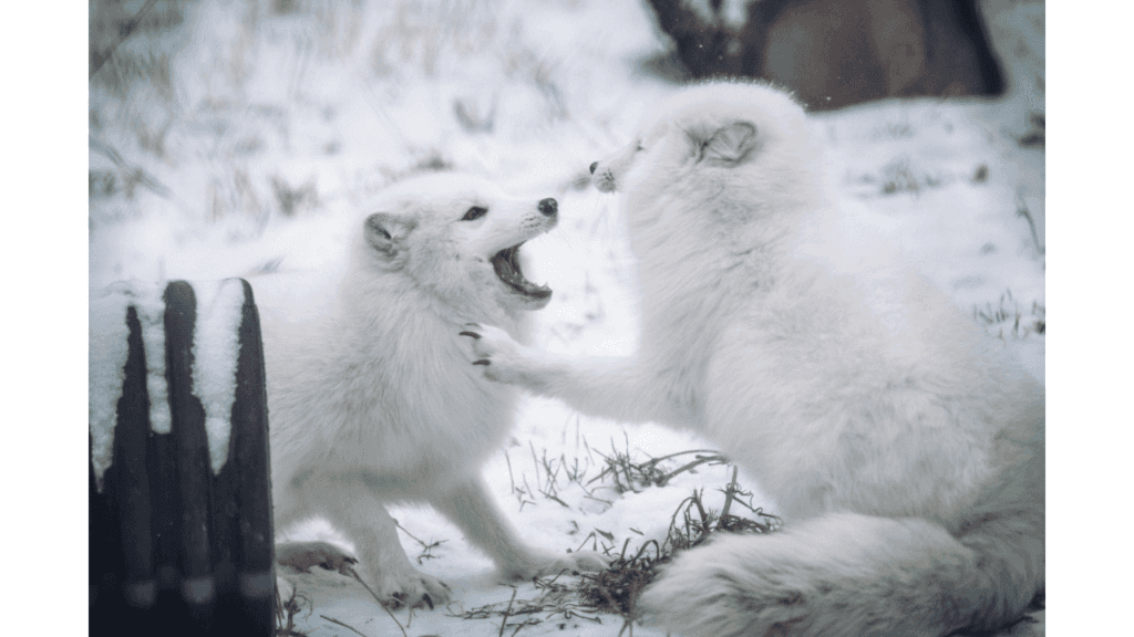 北海道を8つのエリアで完全攻略！初めてでも旅の全体像が一気にわかる保存版ガイド