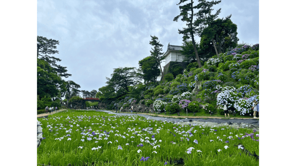東京から日帰りでここまで楽しめる！小田原の城・海・食を巡る一日旅