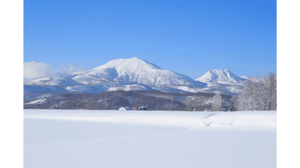 北海道を8つのエリアで完全攻略！初めてでも旅の全体像が一気にわかる保存版ガイド