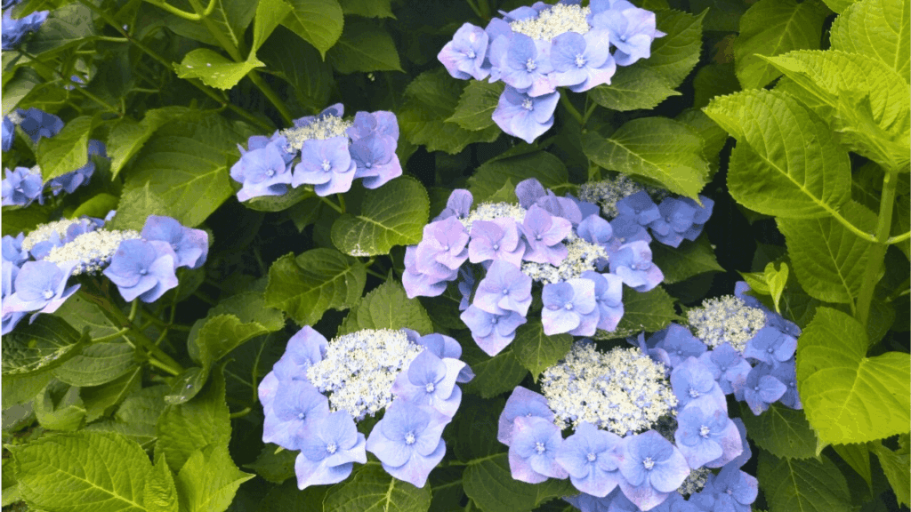 東京から日帰りでここまで楽しめる！小田原の城・海・食を巡る一日旅