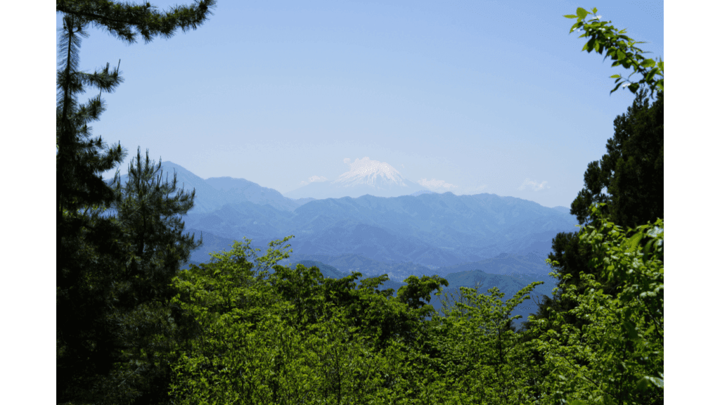 東京から日帰りで旅行気分！週末に行きたいおすすめスポット10選