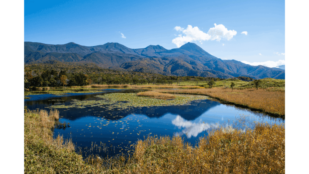 北海道を8つのエリアで完全攻略！初めてでも旅の全体像が一気にわかる保存版ガイド