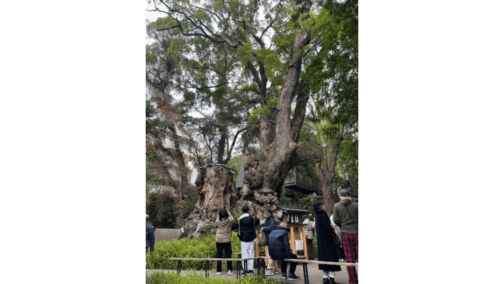 東京11時発でも大満足！熱海のんびり日帰り旅モデルコース