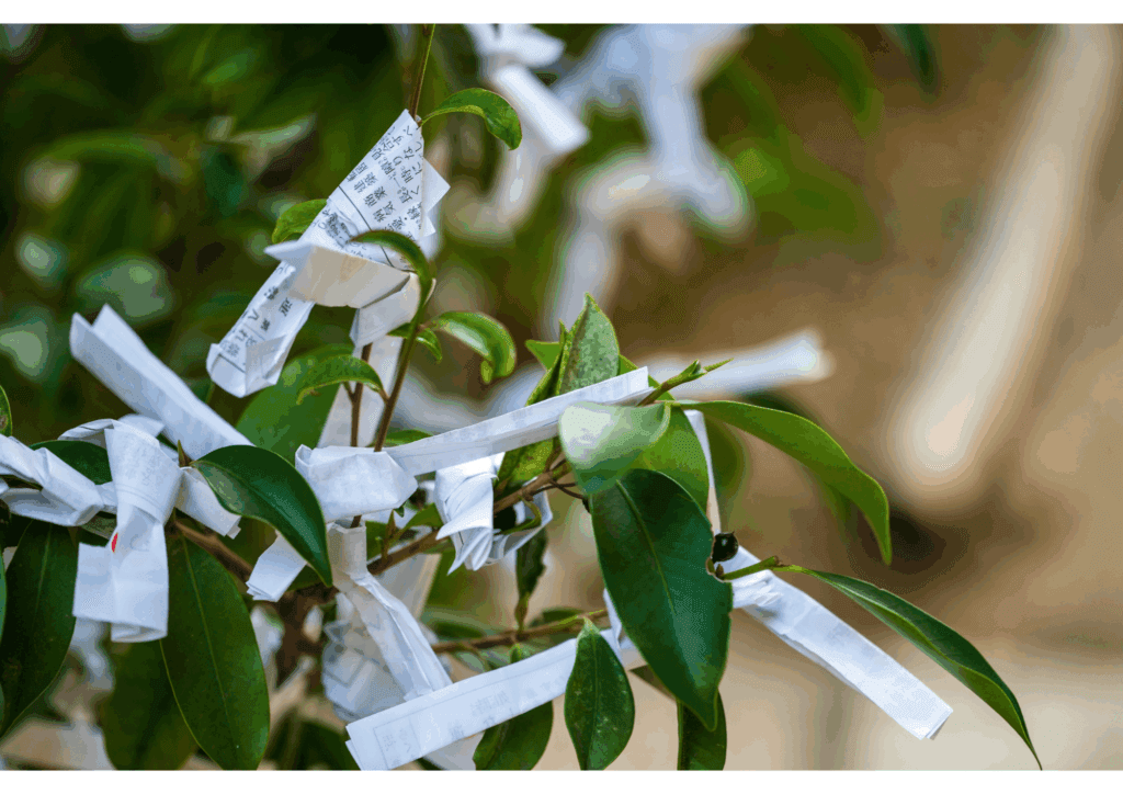 How to Enjoy Japanese Shrines Beyond Praying