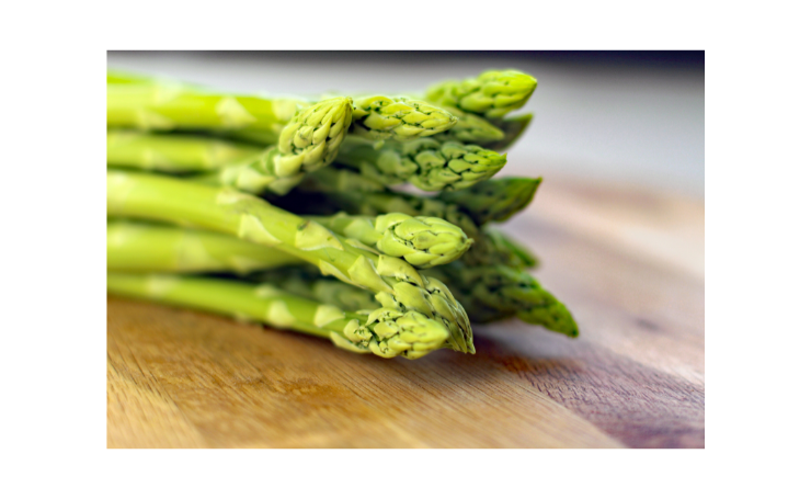 15 Best Spring Foods in Japan and Recommended Dishes