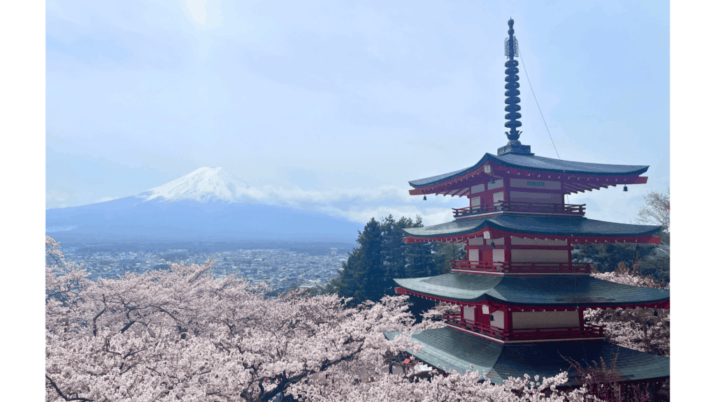 【富士山×五重塔の絶景へ】新倉山浅間神社の行き方・見どころ・春の桜情報