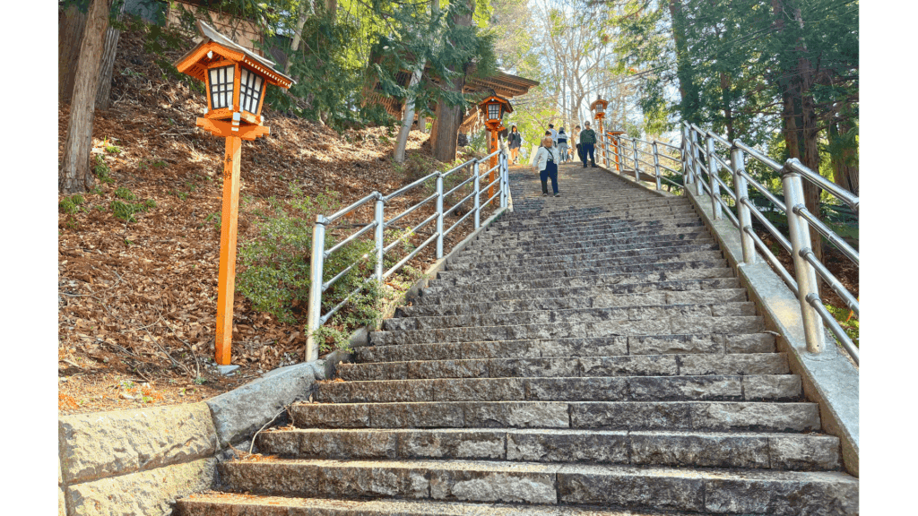 【富士山×五重塔の絶景へ】新倉山浅間神社の行き方・見どころ・春の桜情報