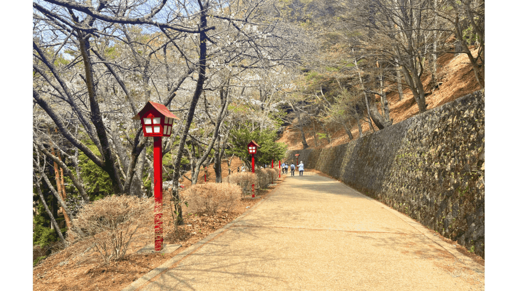 【富士山×五重塔の絶景へ】新倉山浅間神社の行き方・見どころ・春の桜情報