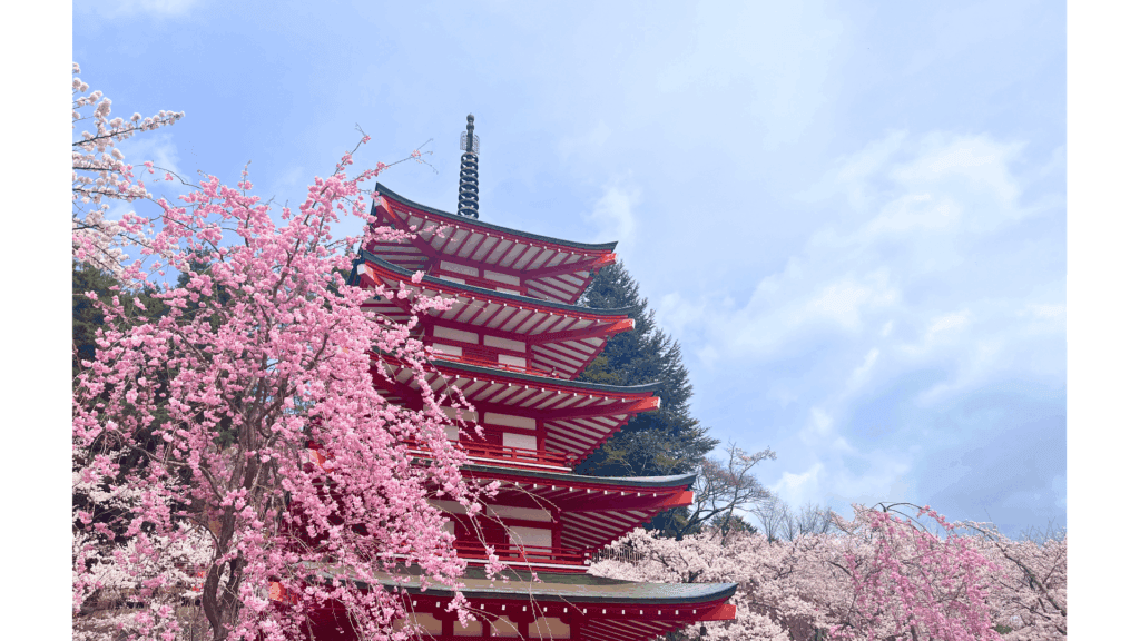 【富士山×五重塔の絶景へ】新倉山浅間神社の行き方・見どころ・春の桜情報